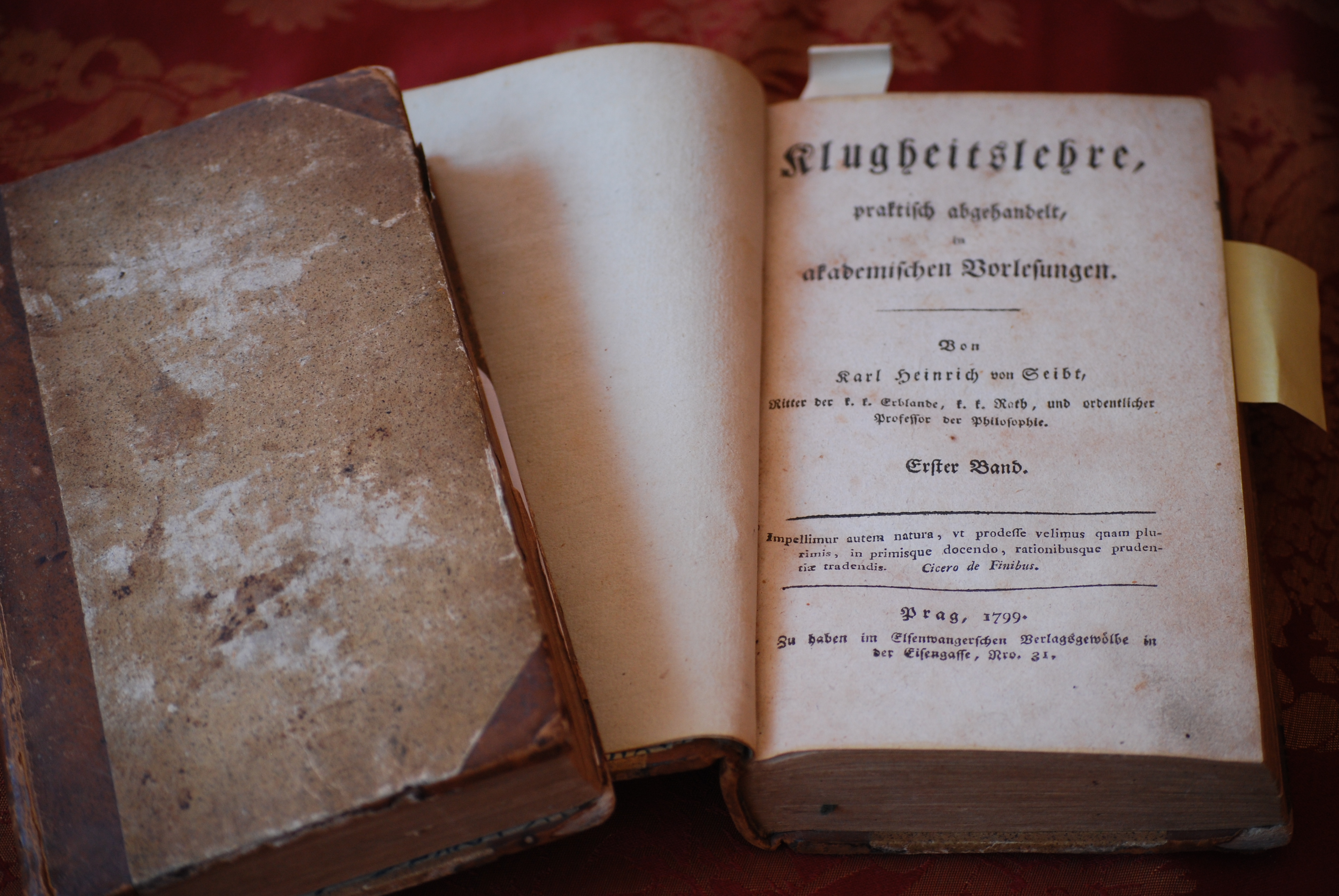 Kunst der Verstellung 016