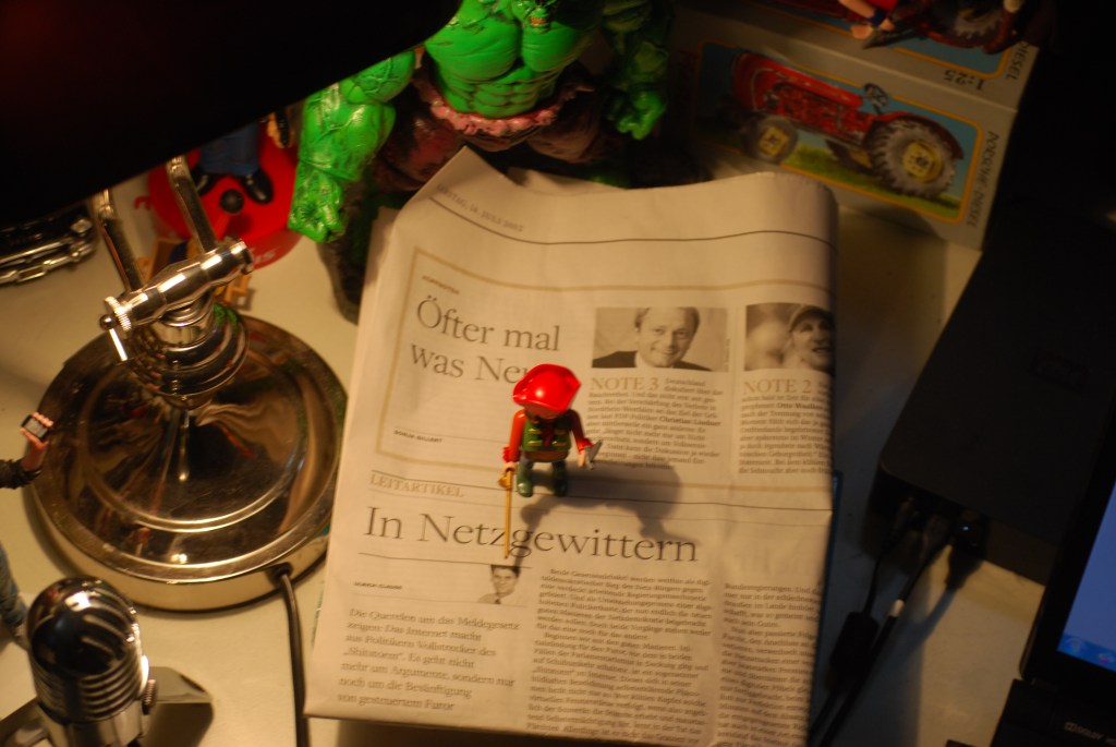 Dilettantische Politik als Beruf 001