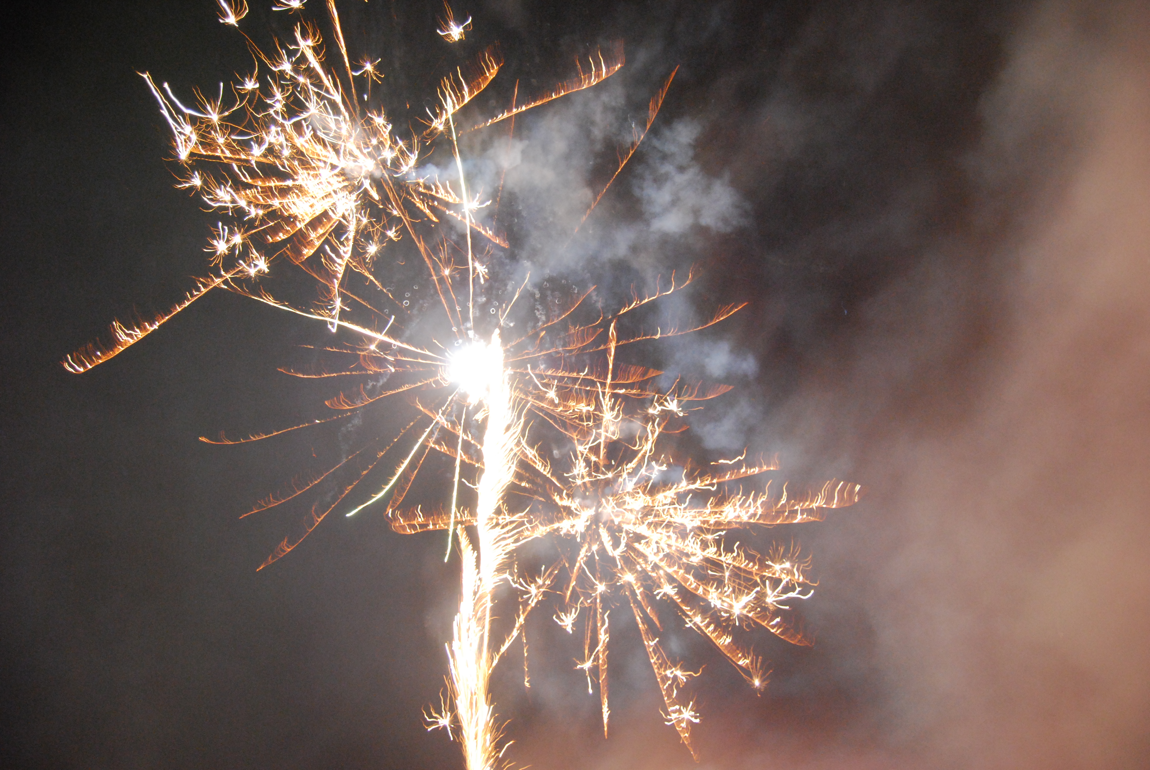 Blick in den Neujahrshimmel