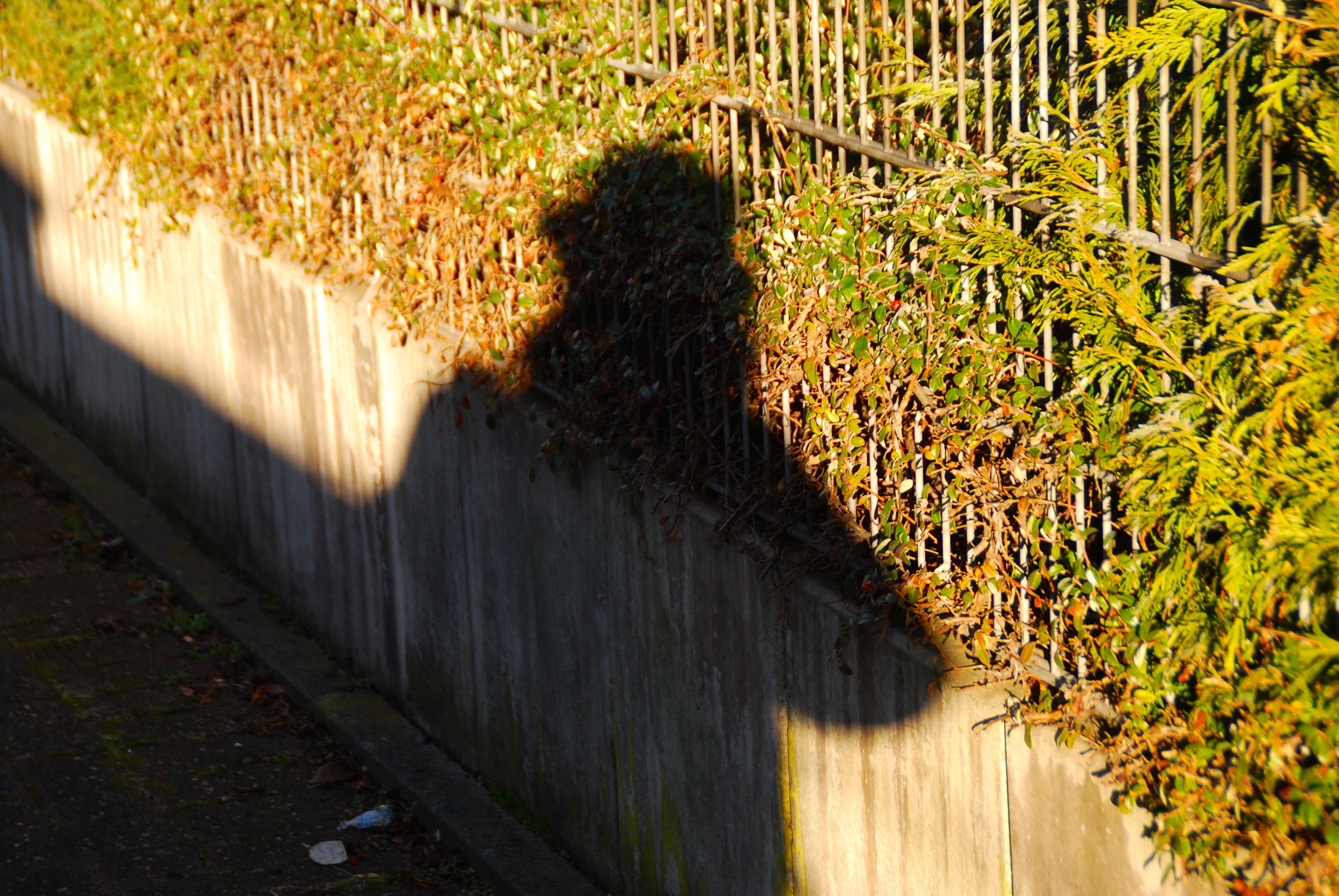 Man sieht sich oder auch nicht