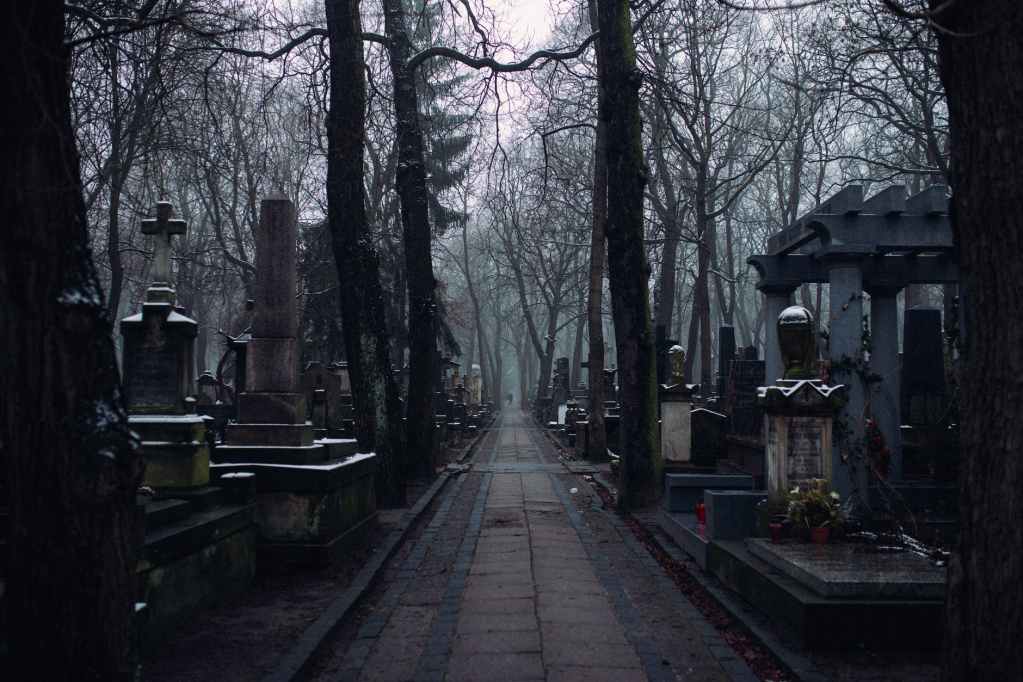 a walkway inside the cemetery
