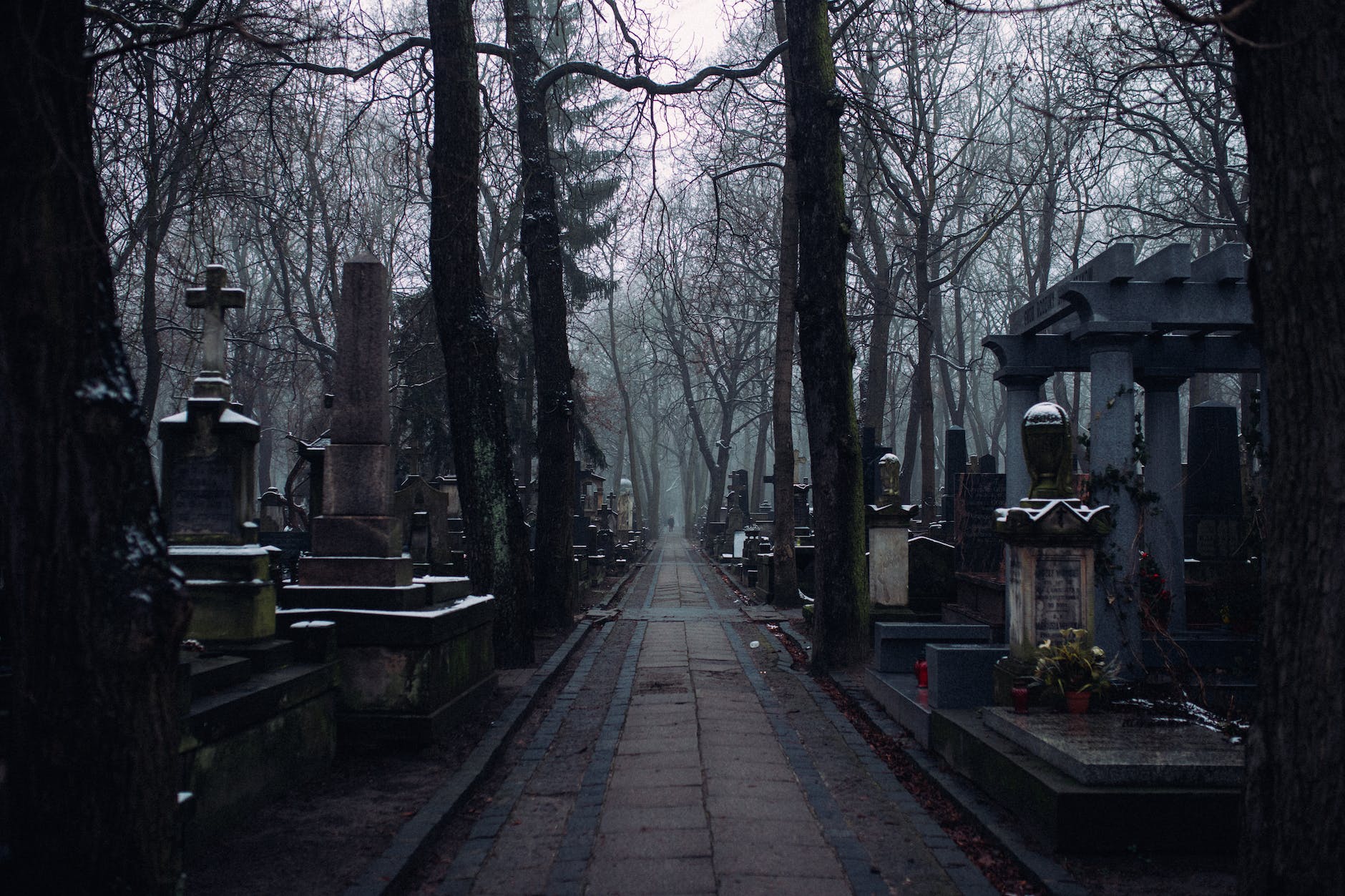 a walkway inside the cemetery